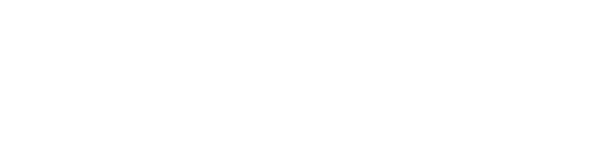 Pluspoint — AI local marketing platform